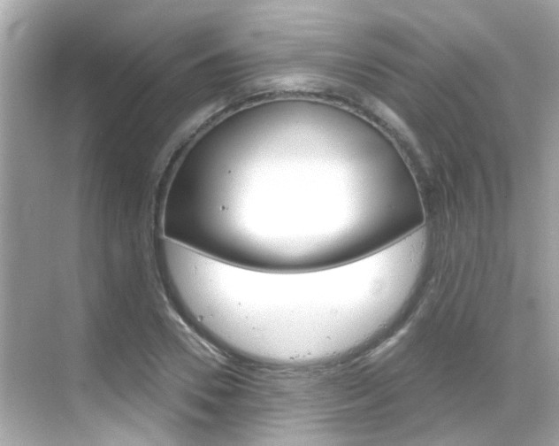 X0000068900930200605051137