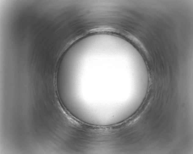 X0000068900937200605051137
