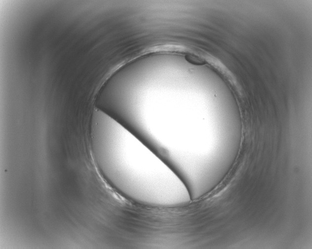 X0000068900945200605051137