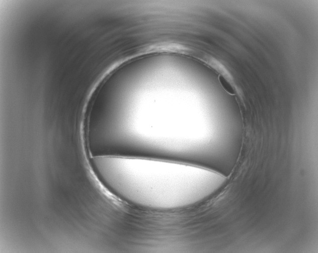 X0000068900947200605051137
