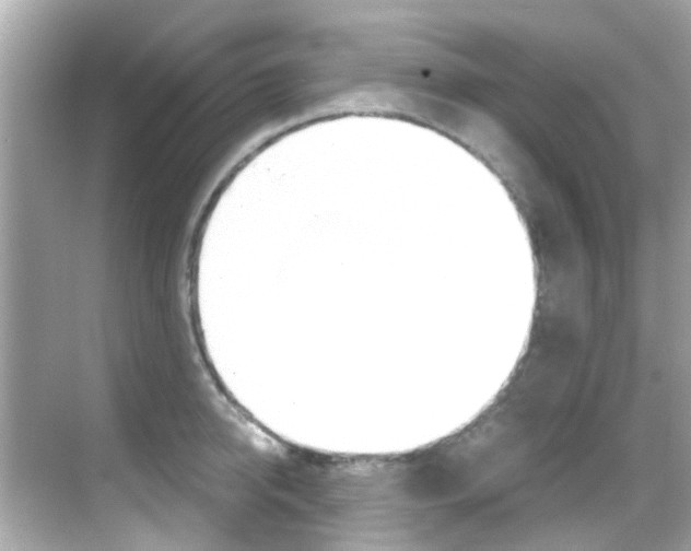 X0000068900950200605051137