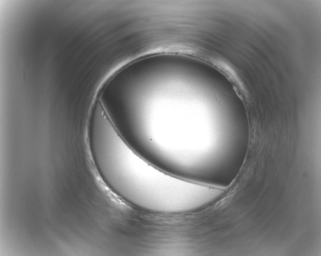 X0000068900952200605051137