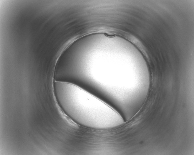 X0000068900954200605051137