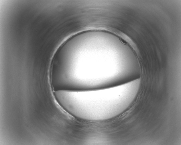 X0000068900958200605051137