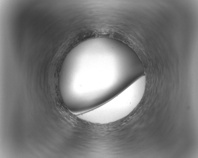 X0000068900961200605051137