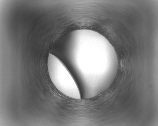 X0000068900963200605051137