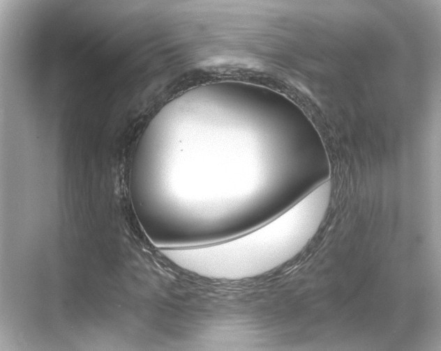 X0000068900965200605051137