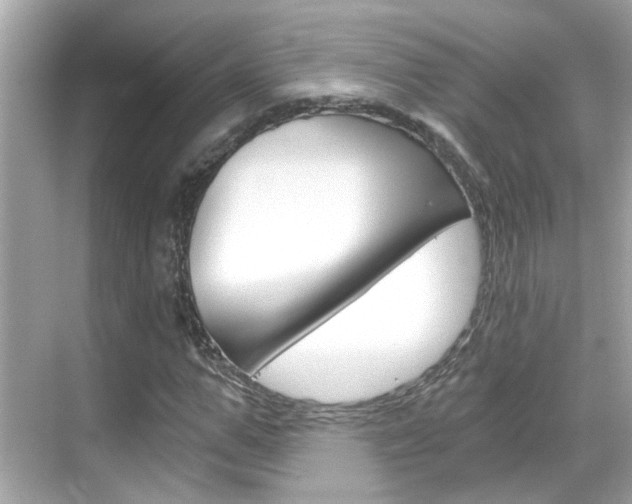 X0000068900967200605051137