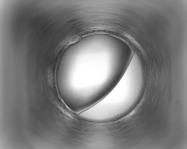 X0000068900969200605051137