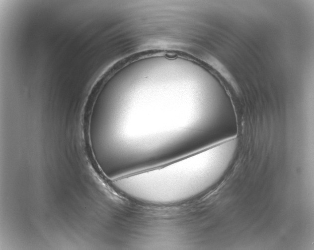 X0000068900972200605051137