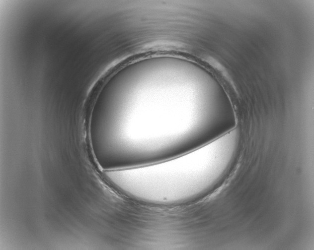 X0000068900973200605051136