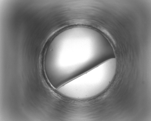 X0000068900983200605051136