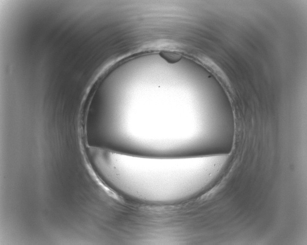 X0000068900989200605051136