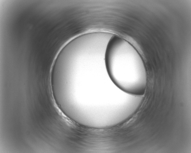 X0000068901004200605051136