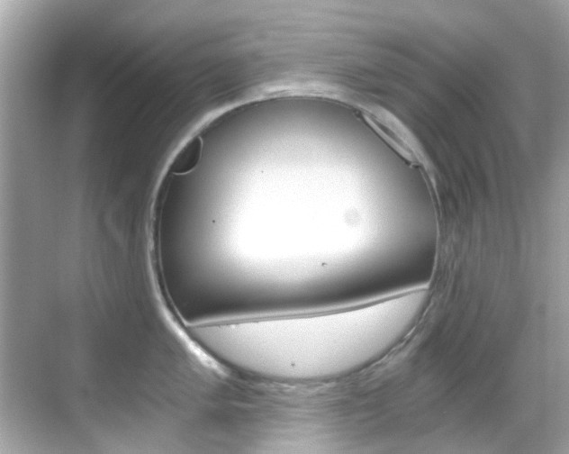 X0000068901005200605051136