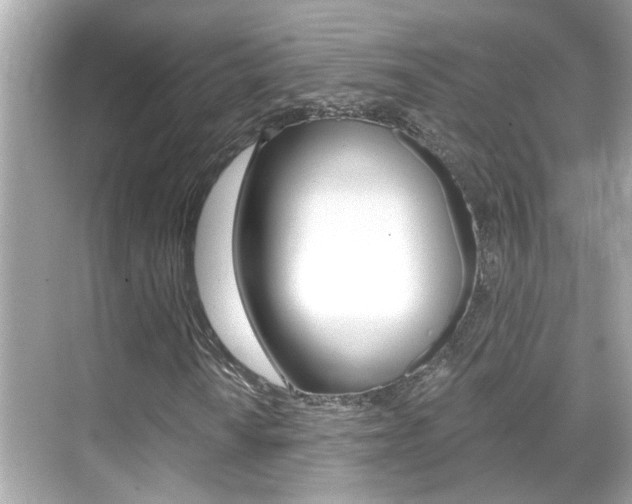 X0000068901010200605051135