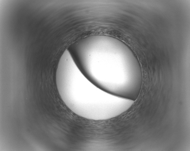 X0000068901013200605051135