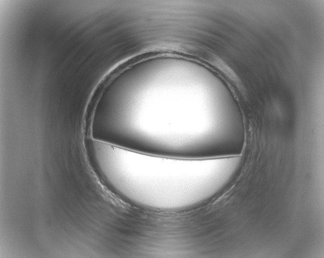X0000068901020200605051135
