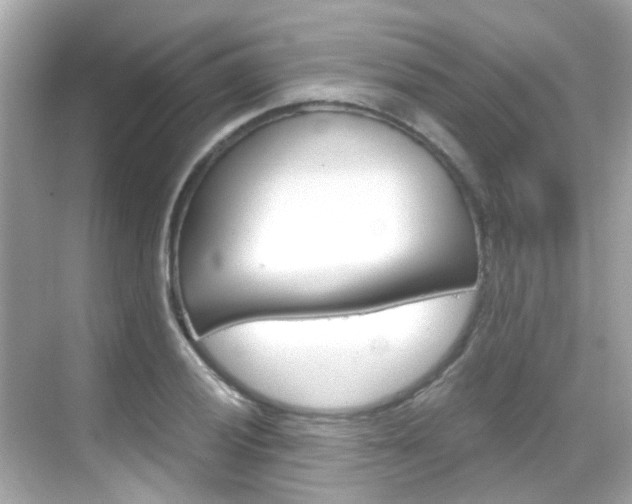 X0000068901028200605051135