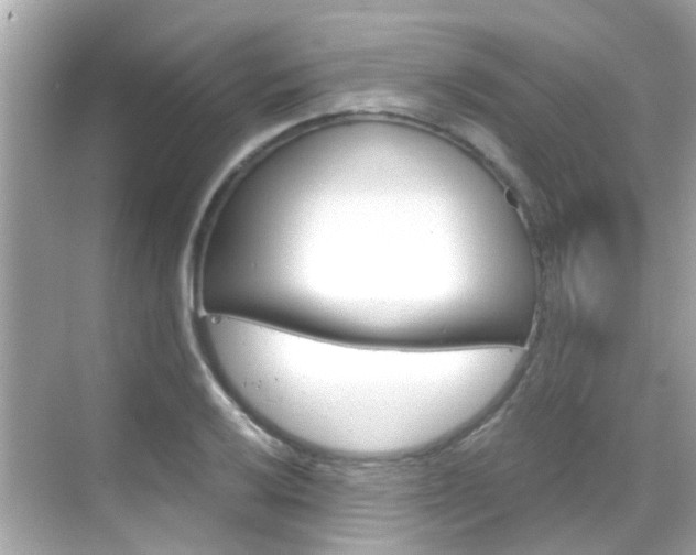 X0000068901032200605051135