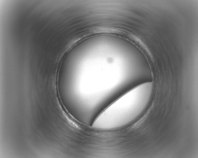 X0000068901033200605051136
