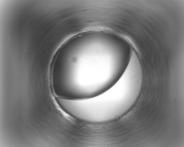 X0000068901046200605051136