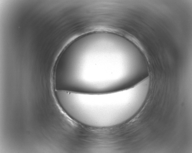 X0000068901048200605051136