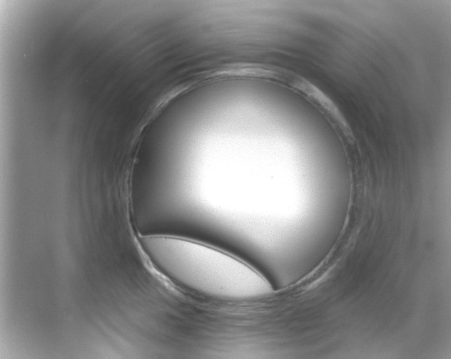 X0000068901049200605051136