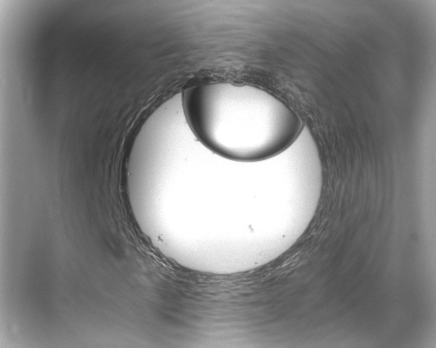 X0000068901057200605051135