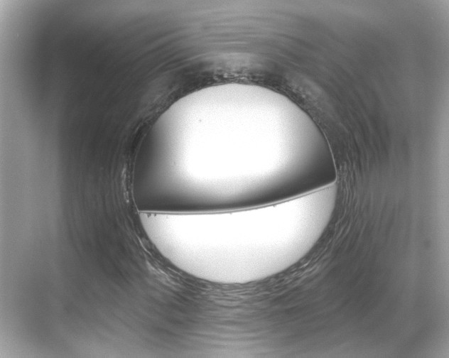 X0000068901060200605051135