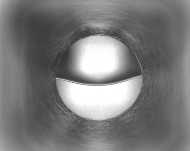 X0000068901061200605051135