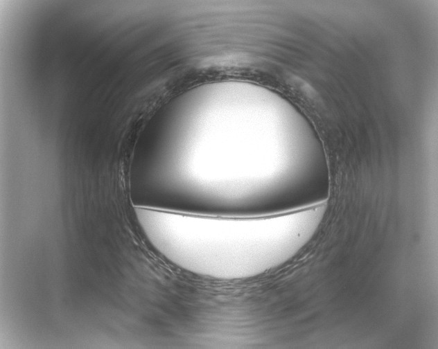 X0000068901062200605051135