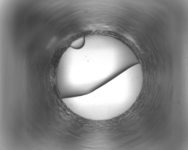X0000068901063200605051135