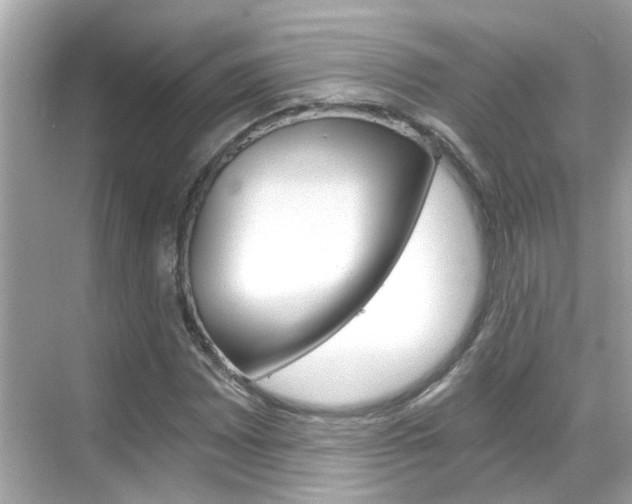 X0000068901065200605051135