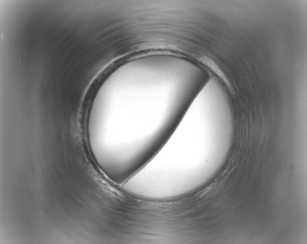 X0000068901068200605051135