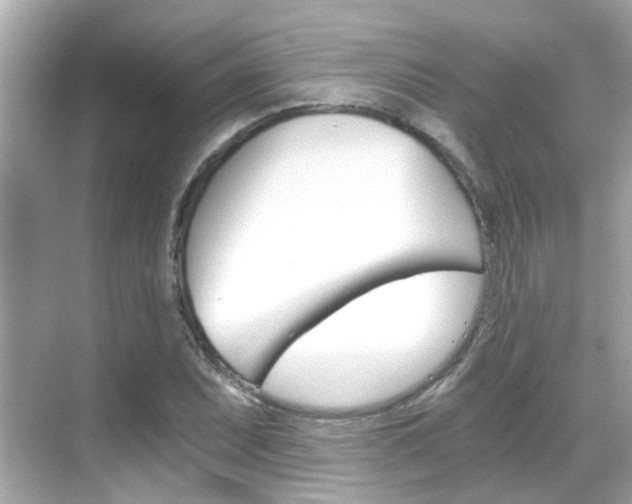 X0000068901071200605051135