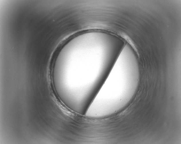 X0000068901072200605051135