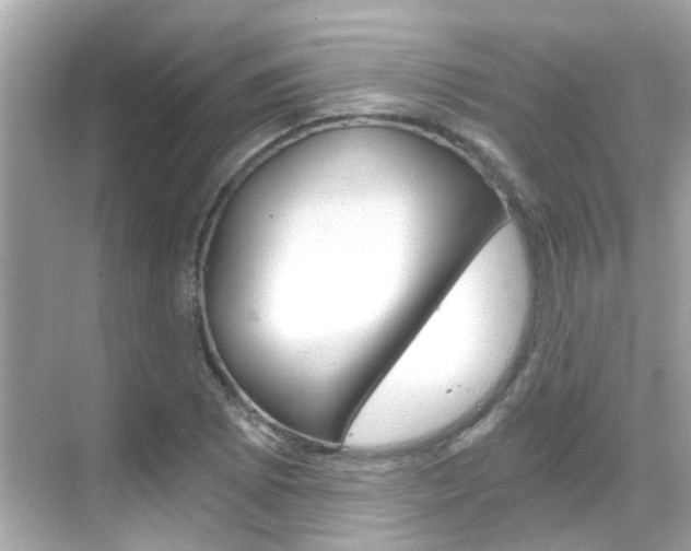 X0000068901073200605051135