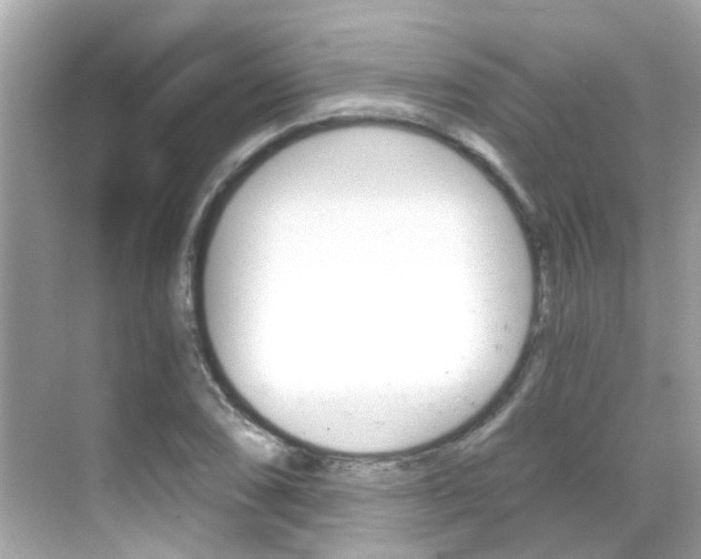 X0000068901074200605051135