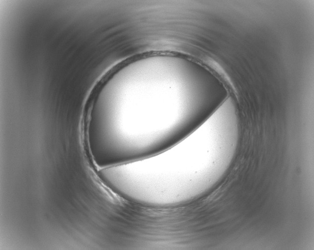 X0000068901076200605051135