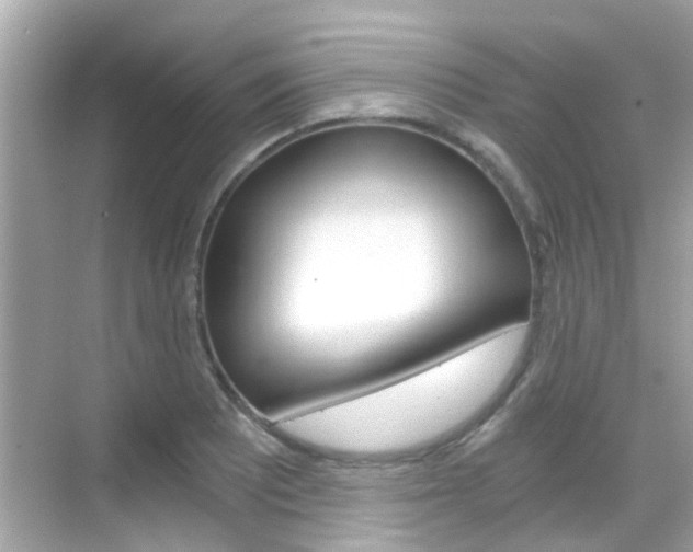 X0000068901081200605051135