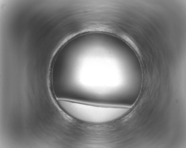 X0000068901093200605051134