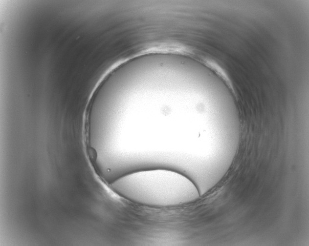 X0000068901103200605051134