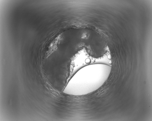 X0000068901105200605051133