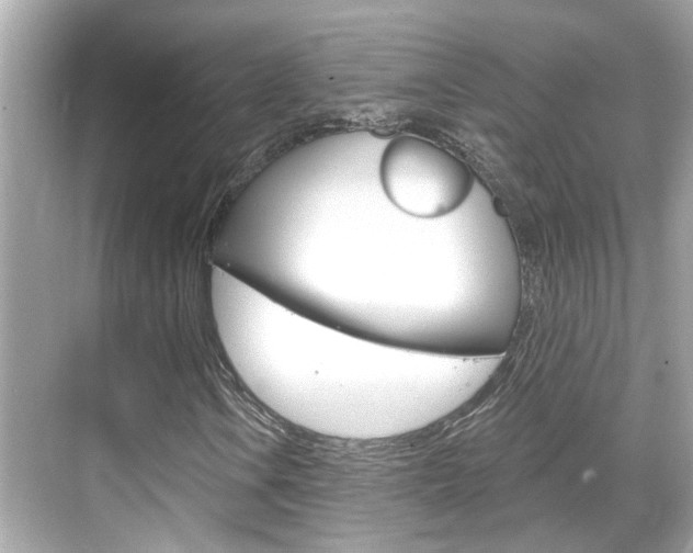 X0000068901106200605051134