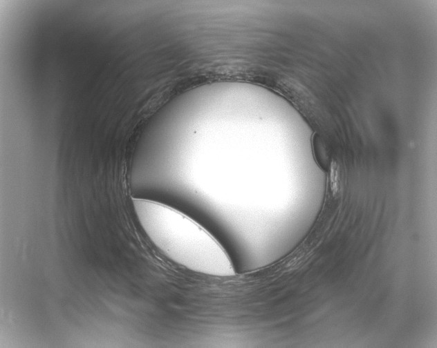 X0000068901107200605051134