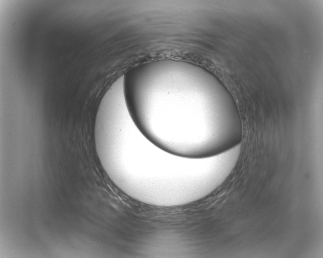X0000068901109200605051134