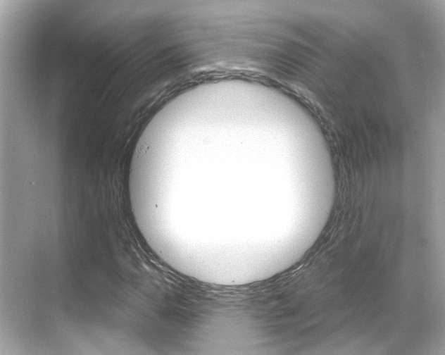 X0000068901110200605051134