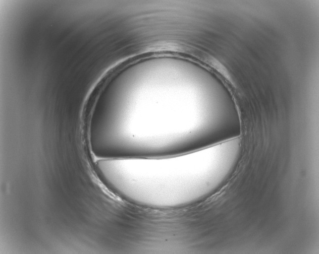 X0000068901116200605051134