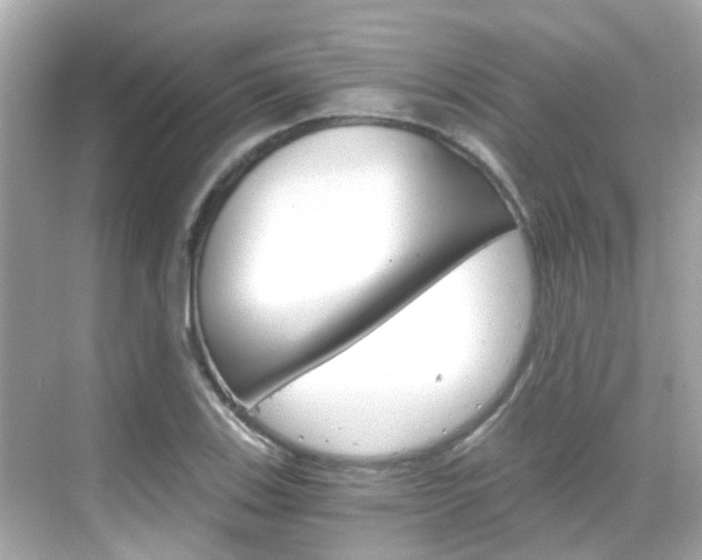 X0000068901123200605051134